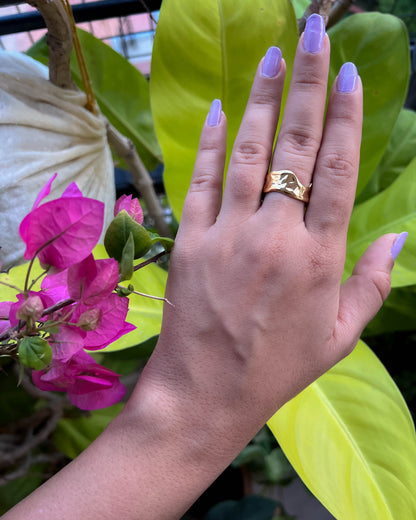 Iris Ring – Raw Hammered Stainless Steel Ring (Anti-Tarnish)