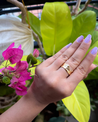 Iris Ring – Raw Hammered Stainless Steel Ring (Anti-Tarnish)